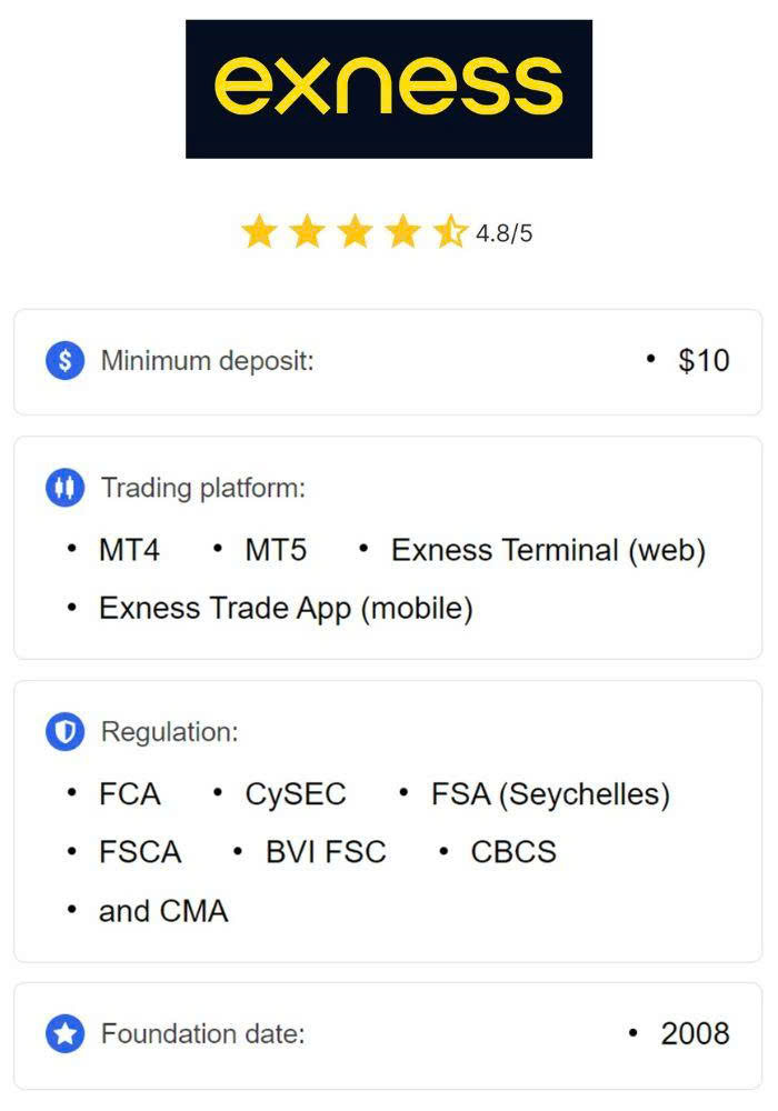 The Journey of Exness Owner From Humble Beginnings to Global Success